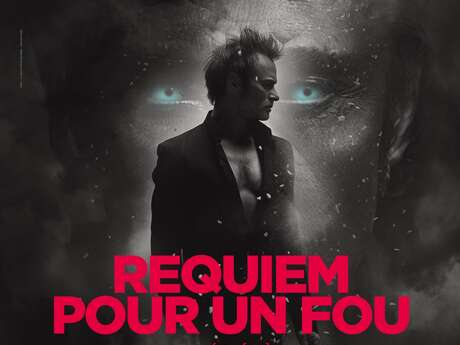 Concert - David Hallyday