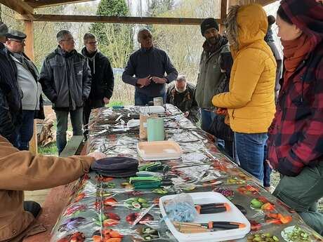 Atelier de greffage aux Jardins du cygne