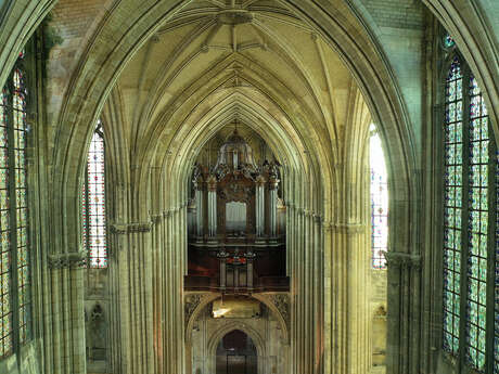 Visite guidée : Trésors cachés de la basilique, de la crypte à la chapelle Saint-Michel