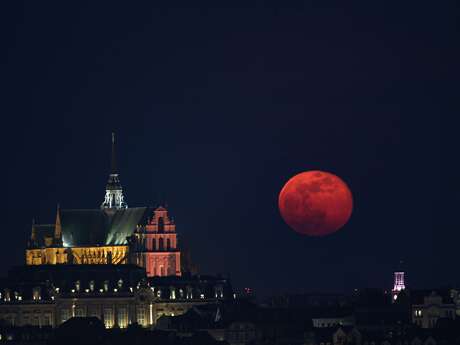 Visite guidée : La Basilique à la lampe torche Le 14 fév 2025