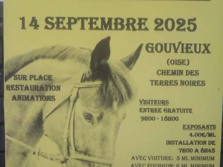 Brocante équestre à Gouvieux