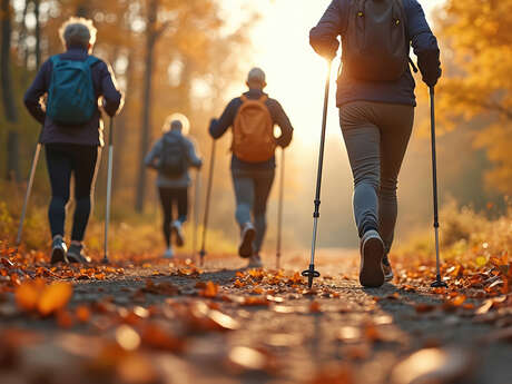 Bois de l'offlarde- coordonnez vos bras et vos jambes pour la marche nordique !