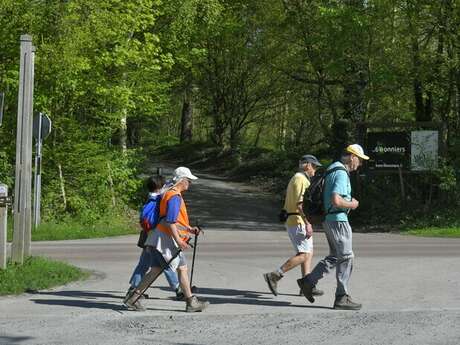 Balade naturaliste : "Plantes, arbres et historiettes"