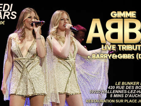 Gimme Abba live tribute