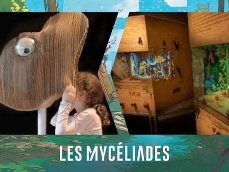 Expositions du collectif "Les Yeux d'Argos" dans le cadre du Festival  de Science-Fiction "Les Mycéliades : Résiliences"