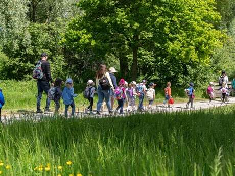 Balade naturaliste : "Les animaux se mettent en scène"