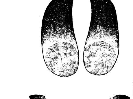 Bois de l'offlarde - mais où se cachent les animaux  de ce bois ?