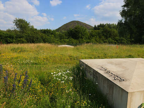 Terril du pays à part et terril des falandes - la nature à l'accent minier