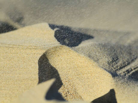 Dunes d'ecault – la dune expliquée aux enfants