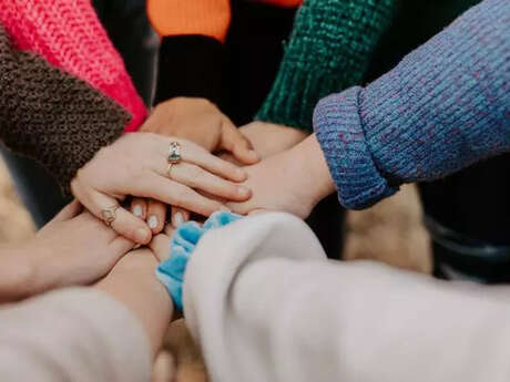 Cigales cherchent fourmis