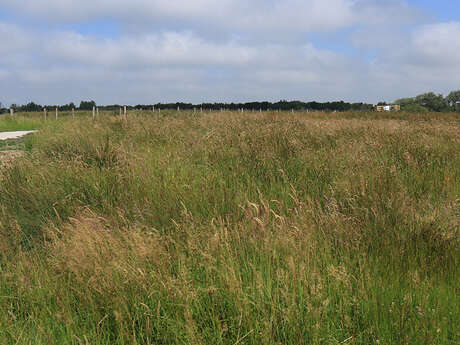 Pré communal d'hardinghen - les mille et une vies