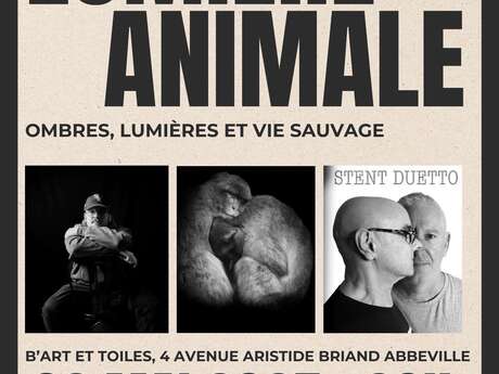 Lumière animale : expo et concert blues