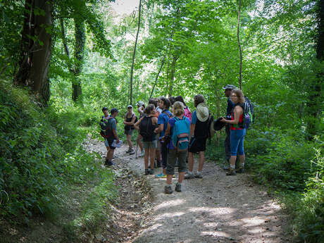 Tour d'horloge - balade bucolique
