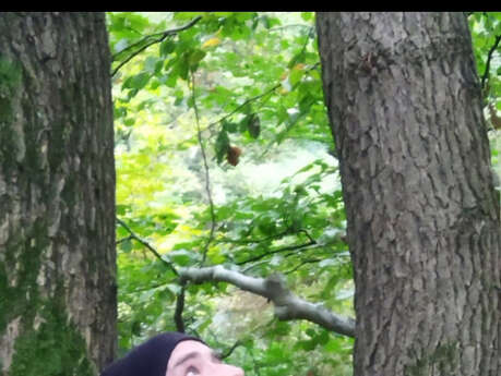 Sébastien ropital en concert au bôbar