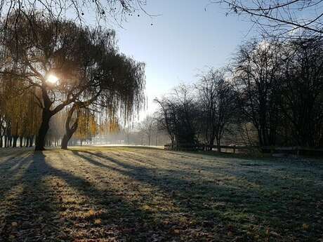 Samedi, ça me dit - C'est beau une ville sans déchets