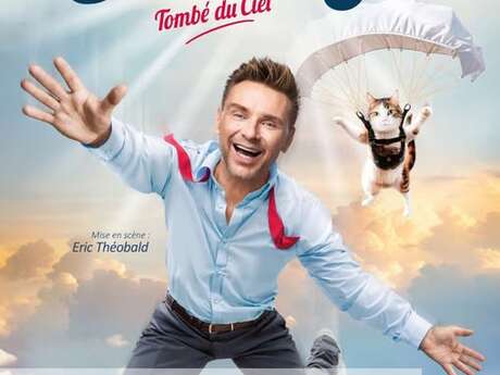 Tombe du ciel - jeanfi janssens