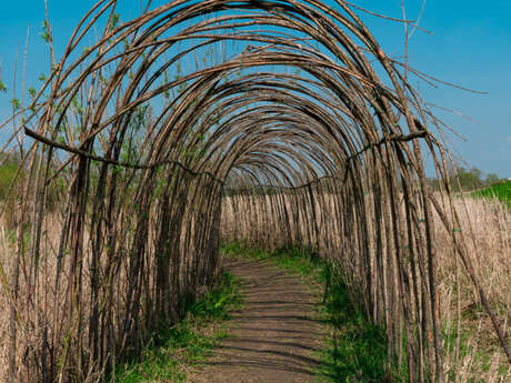 Atelier Aménager un labyrinthe en saule