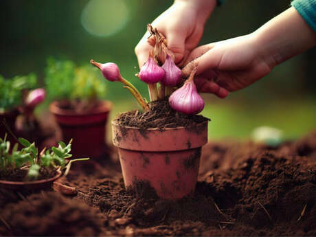 Atelier Tout-petits : plantons des bulbes !