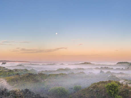 Réserve naturelle nationale de la baie de canche - dans les coulisses de la réserve