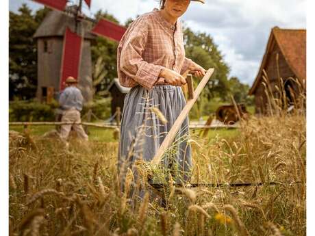 Fête de la moisson