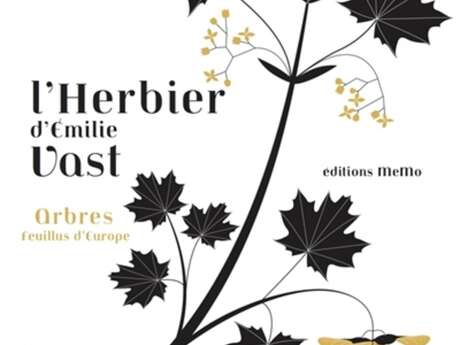 L'herbier d'Emilie Vast