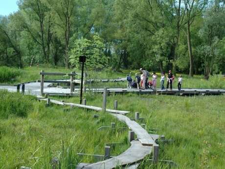Balade naturaliste : "Les secrets du marais au crépuscule"