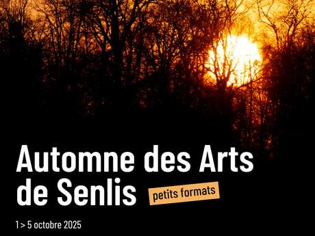 Automne des Arts de Senlis