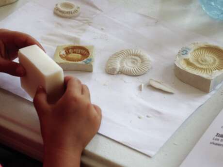 Saint-Maurice Pellevoisin / Les petits labos "Musique et sciences"