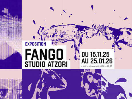 FANGO | Studio Atzori