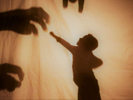 Initiation au théâtre d'ombres avec la Mécanique du fluide