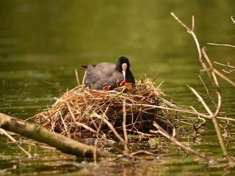 La palette de l'artiste
