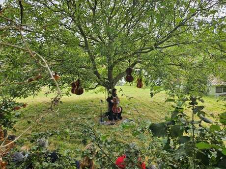 Pause nature au fil de l'eau : balades musicales