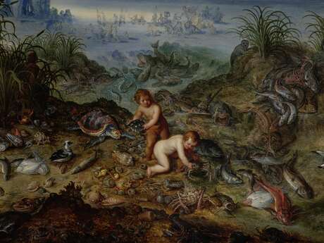 Parcours famille "À la poursuite des éléments" au Musée de Flandre