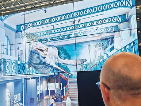 Visite virtuelle commentée - Visite le Musée d’histoire naturelle !