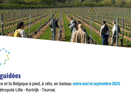 BlueWalks - « Entre canal et marque urbaine »