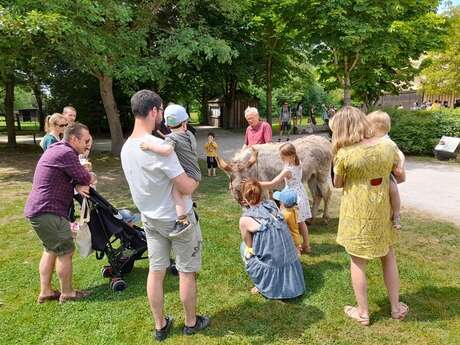 Journée mondiale des animaux et de leurs soigneurs