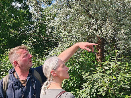Balade Nature - Notre région en hiver / Citadelle