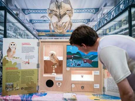 Mini Muséum de quartier : escale au Tire-Laine !