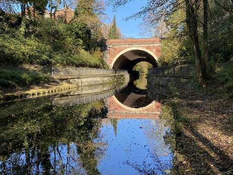 Balade naturaliste : les richesses de la branche de Tourcoing