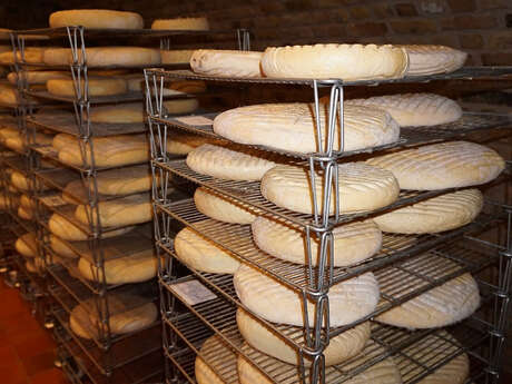 Visite guidée du pâturage au fromage