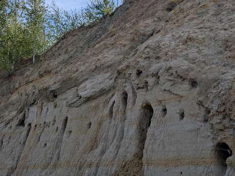 Événement Nature & Vous - Visite de la sablière d'Hamel