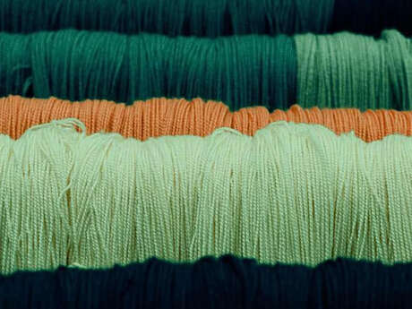 Atelier de teinture                           « Recherche colorée »