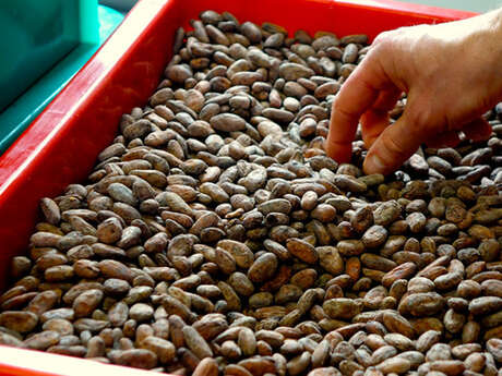 Le Hill Bar Lab - Villeneuve d'Ascq