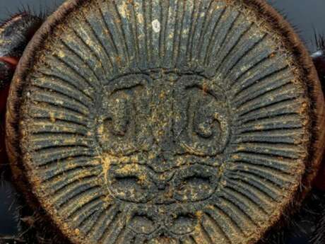 Œuvre d’art à huit pattes