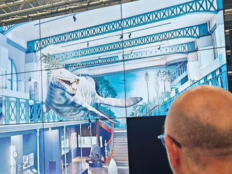 Visite virtuelle du Musée