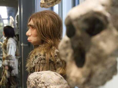 Les petits labos du Musée - Enquête Néandertal  / Fabrique du Sud