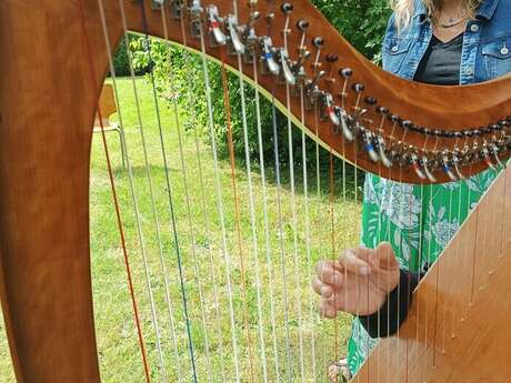 Édition spéciale « Bicentenaire » : sieste musicale à la harpe à l'EPSM de l'agglomération lilloise - GHT Psy NPdC