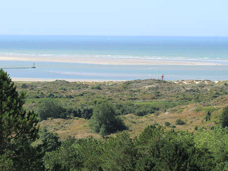Réserve naturelle nationale de la baie de canche - de la dune boisée à l'estuaire