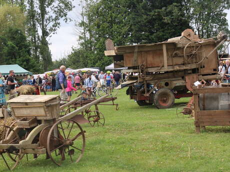 Foire à l'Ail