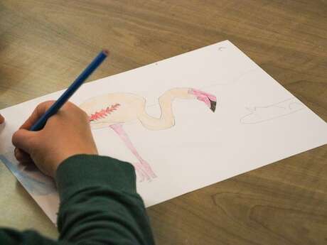 Atelier Dessin - au Mini-Lab / Le MHN fait le Mur